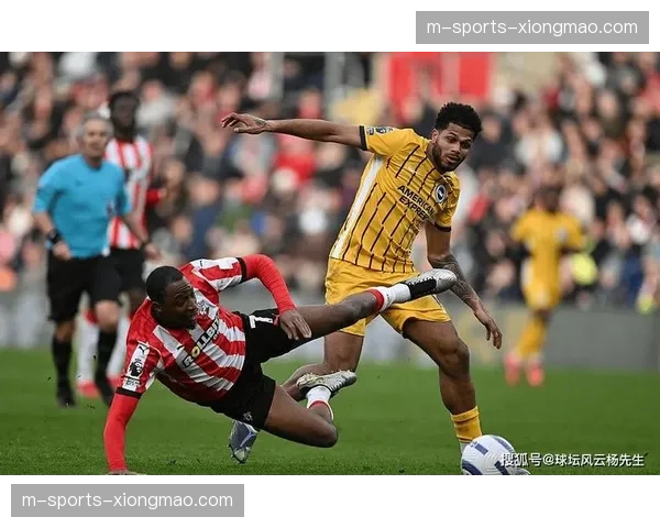 布莱顿对方半场传球成功率82.4%，高位压迫效率接近顶级梯队